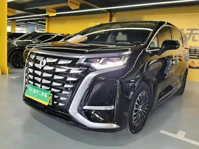 Фотография автомобиля — Denza D9