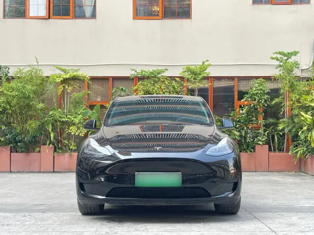 Tesla Model Y — Фото автомобиля 2