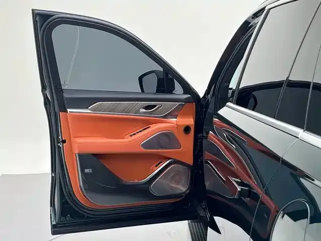 Wey Lanshan — Фото автомобиля 15