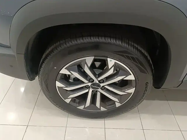 Haval Big Dog — Фото автомобиля 22