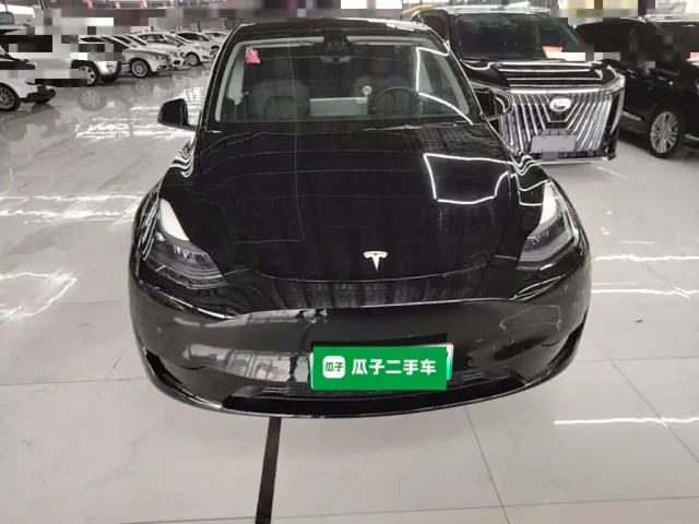 Tesla Model Y — Фото автомобиля 2