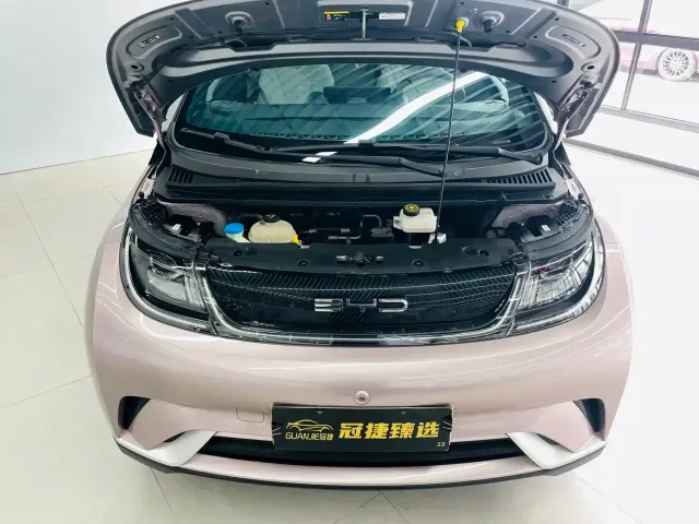 BYD Dolphin — Фото автомобиля 2