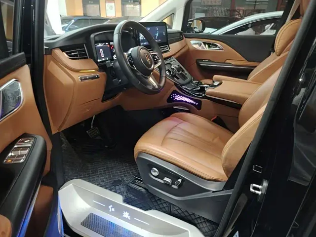 Hongqi Hongqi HQ9 PHEV 2024 Model 2.0T AWD Business Edition — Фото автомобиля 10