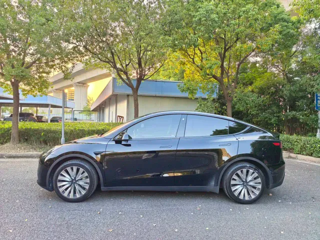 Tesla Model Y — Фото автомобиля 4