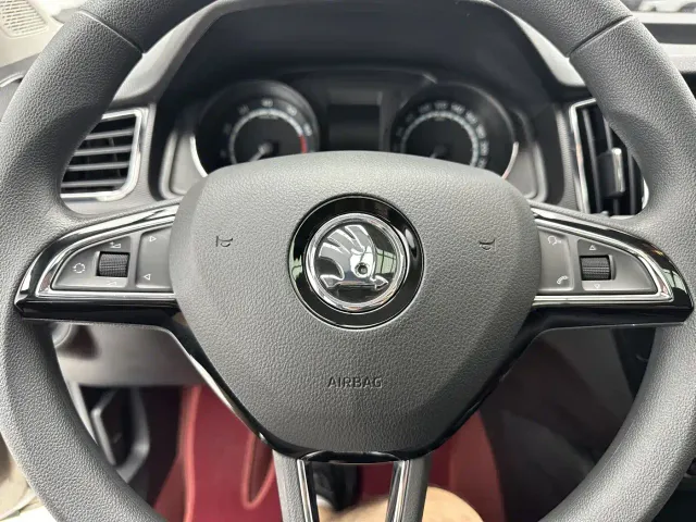 Skoda Kamiq — Фото автомобиля 14