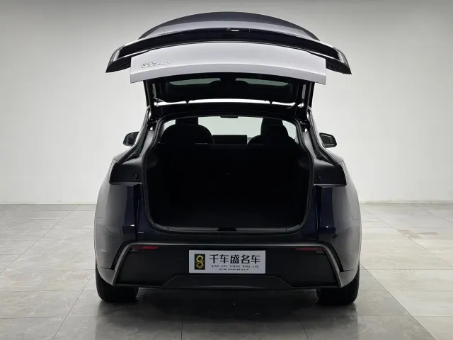 Tesla Model Y — Фото автомобиля 10