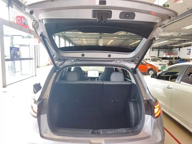 Geely Starry Wish — Фото автомобиля 18