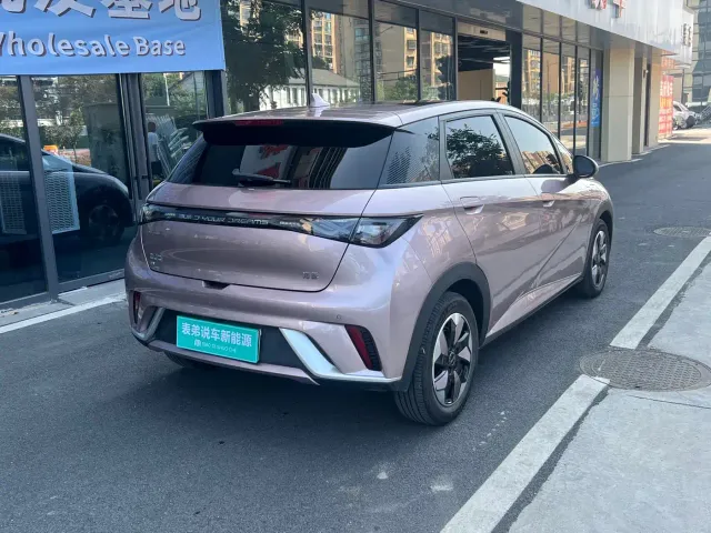 BYD Dolphin — Фото автомобиля 5