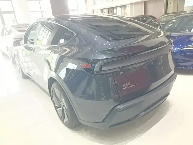 Tesla Model Y — Фото автомобиля 4