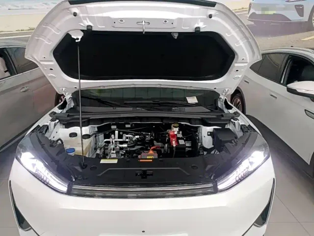 Dongfeng Fengshen L7 — Фото автомобиля 19