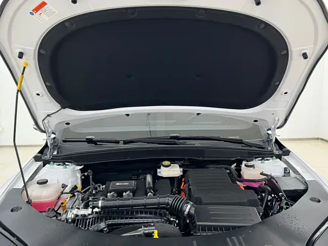 BYD Qin PLUS — Фото автомобиля 16