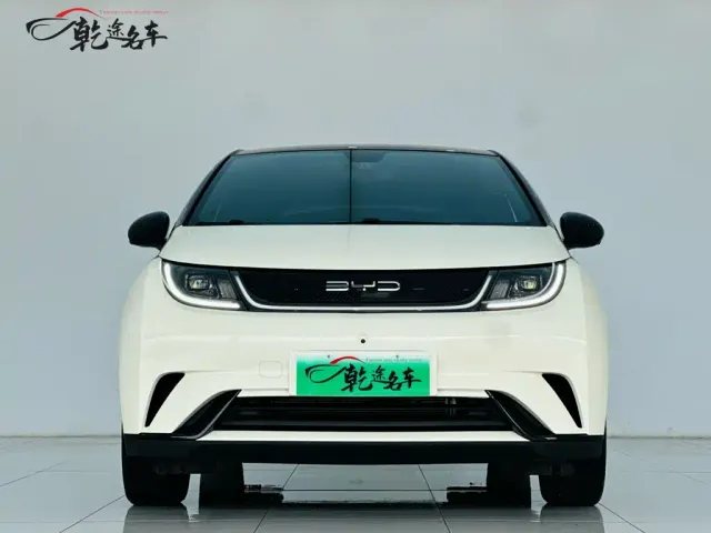 BYD Dolphin — Фото автомобиля 2