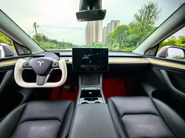 Tesla Model Y — Фото автомобиля 9
