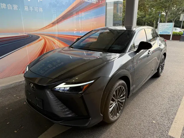 Lexus RZ — Фото автомобиля 13
