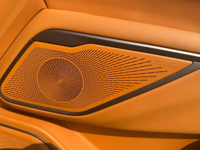 Wey Alpine — Фото автомобиля 15