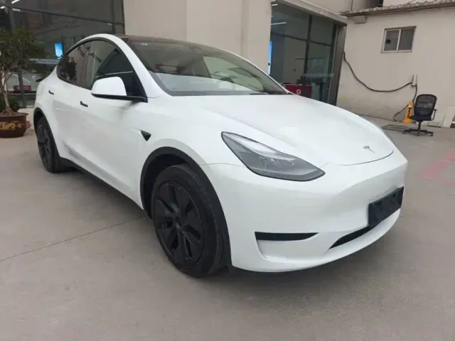 Tesla Model Y — Фото автомобиля 3
