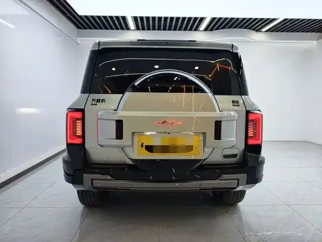 BYD FangChengBao Leopard 8 — Фото автомобиля 15