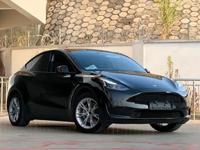 Tesla Model Y — Фото автомобиля 3