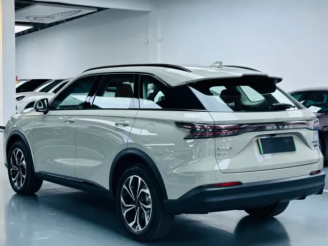 Haval Xiaolong MAX — Фото автомобиля 13