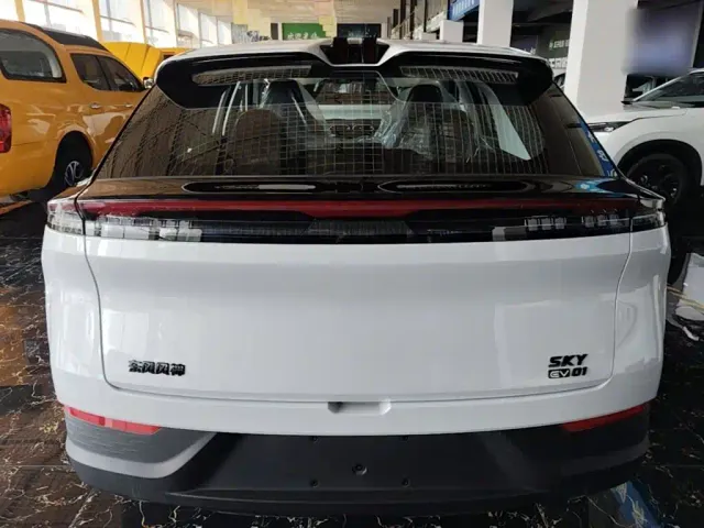 Dongfeng SKY EV01 — Фото автомобиля 5
