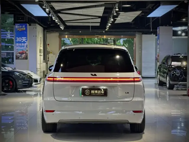 Li Auto L9 — Фото автомобиля 12