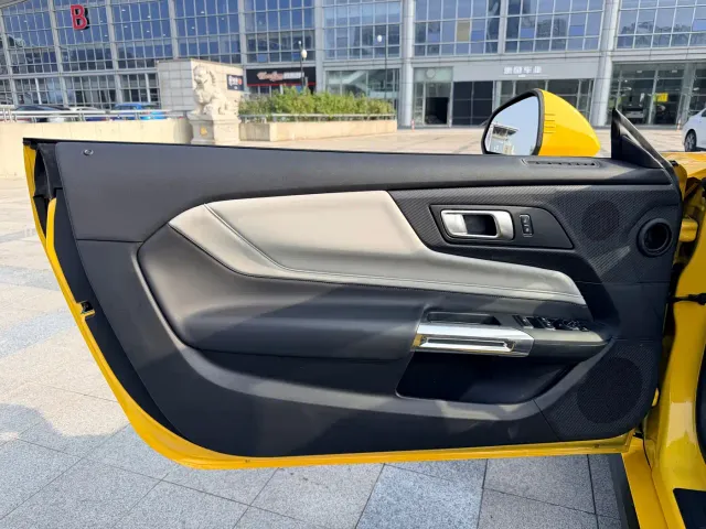 Ford Mustang — Фото автомобиля 15