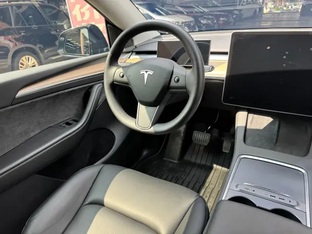 Tesla Model Y — Фото автомобиля 10