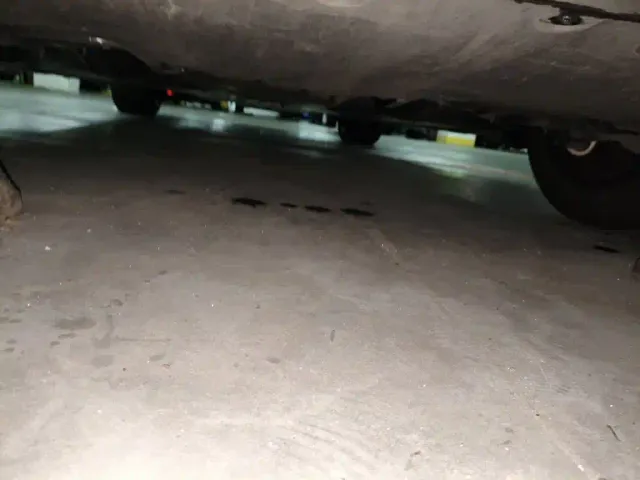 Tesla Model Y — Фото автомобиля 24