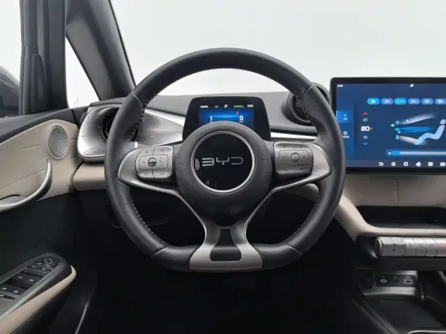BYD Dolphin — Фото автомобиля 11