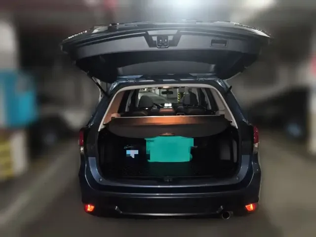 Subaru Forester 2022 2.0i AWD Luxury Edition with EyeSight — Фото автомобиля 9