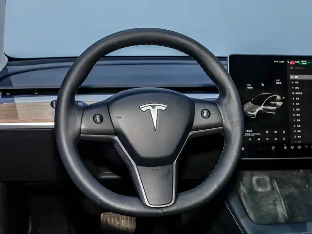 Tesla Model 3 — Фото автомобиля 21