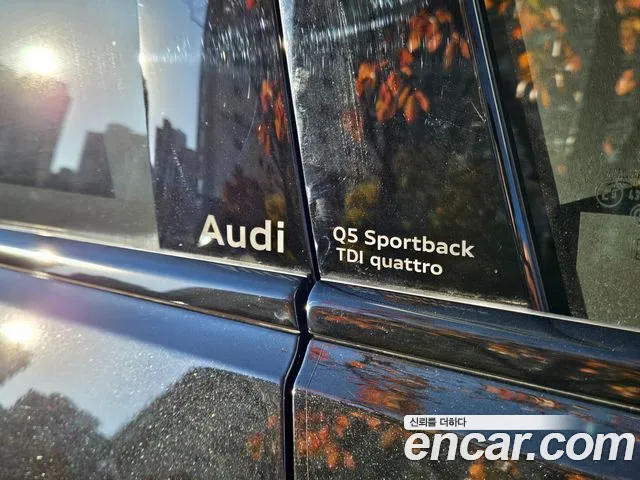 Audi Q5 40 TDI quattro Sportback S Line — Фото автомобиля 19