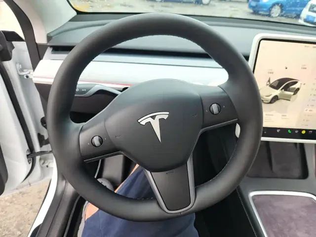 Tesla Model Y — Фото автомобиля 10