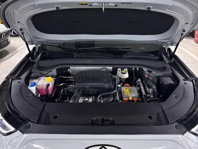 Chery Fulwin T9 — Фото автомобиля 16