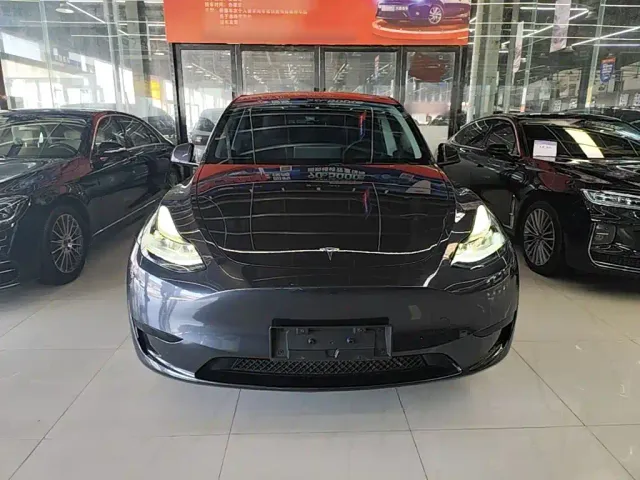 Tesla Model Y — Фото автомобиля 2