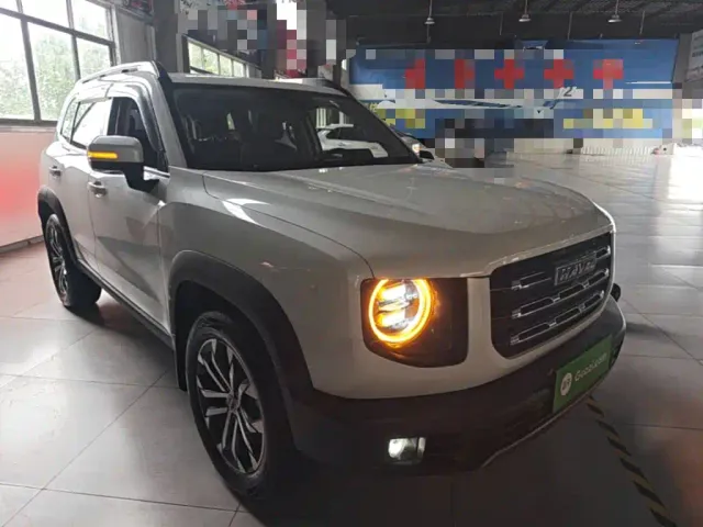 Haval Haval Big Dog 2021 1.5T DCT 2WD Border Collie Edition — Фото автомобиля 3