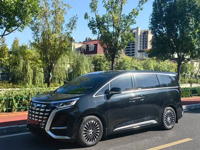 Фотография автомобиля — Denza D9