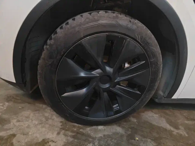 Tesla Model Y — Фото автомобиля 24