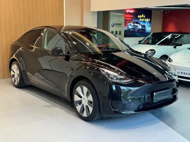 Tesla Model Y — Фото автомобиля 3