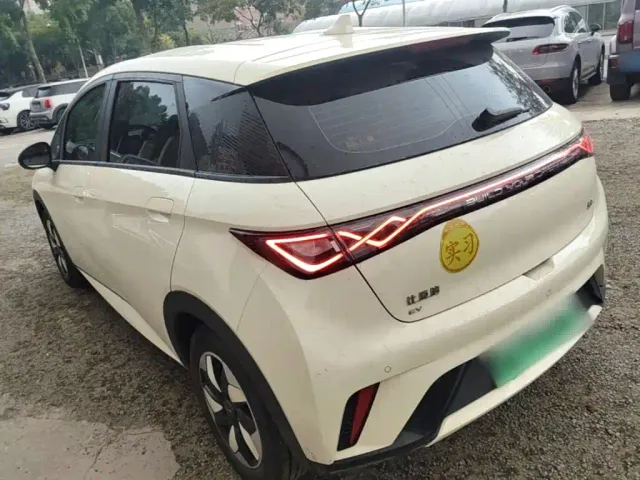 BYD Dolphin — Фото автомобиля 4
