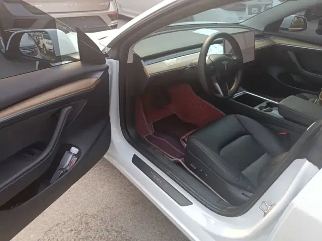 Tesla Model 3 2021 Standard Range Rear-Wheel Drive Upgrade 3D6 — Фото автомобиля 15