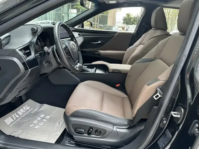 Lexus Lexus ES 2022 300h Excellence Edition — Фото автомобиля 11