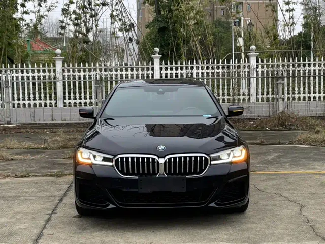 BMW 5 Series — Фото автомобиля 8