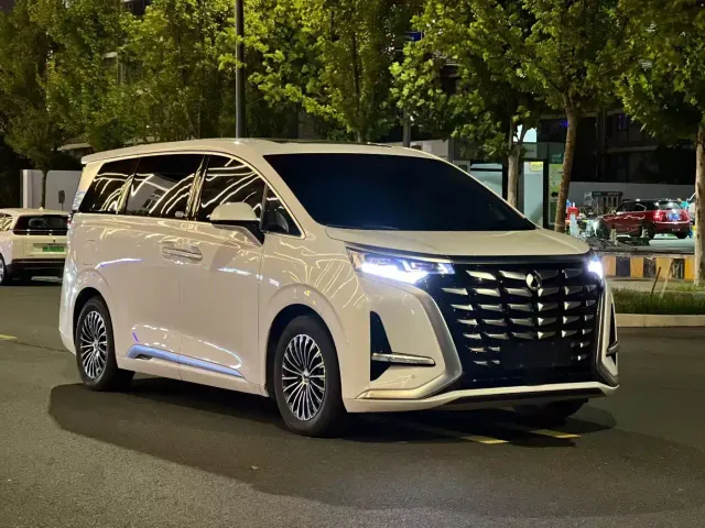 Denza Denza D9 2022 DM-i 1040 Premium — Фото автомобиля 3