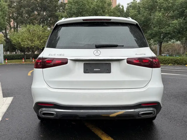 Mercedes-Benz GLS-Class — Фото автомобиля 13