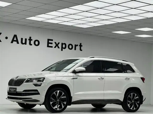 Skoda Karoq — Фото автомобиля 23