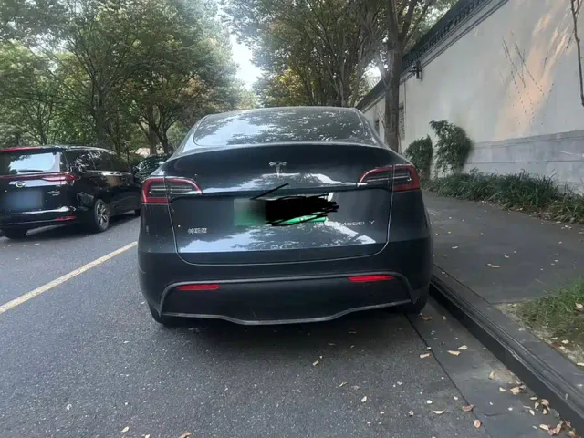 Tesla Model Y — Фото автомобиля 9