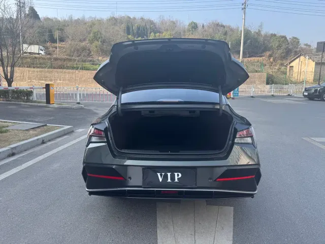 Hyundai Elantra — Фото автомобиля 14