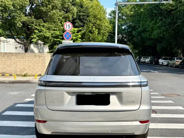 Li Auto L9 — Фото автомобиля 7