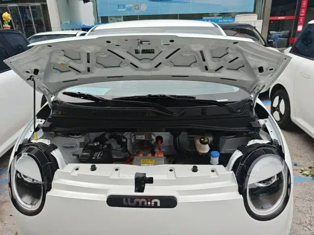 Changan Lumin — Фото автомобиля 15